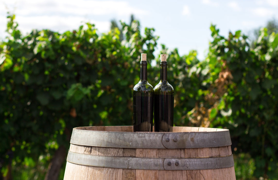 Aglianico Wine Barrels