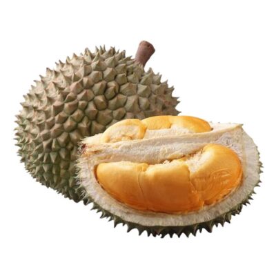 K&R Premium Black Thorn Durian - Various Sizes