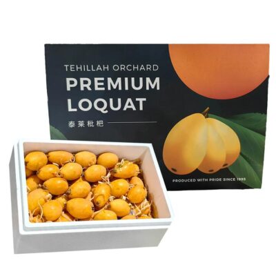 Tehillah Orchard Premium Loquat Gift Box - 2kg