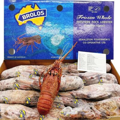 Brolos Frozen Whole Western Rock Lobster - 10kg Box (22-23 Pieces)