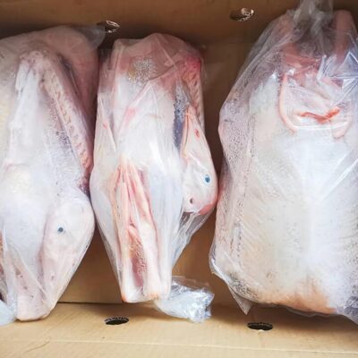 Wonderwander Frozen Free-Range Goose - 1.5-2kg (Includes Free-Range Pigeon - 250-350g)