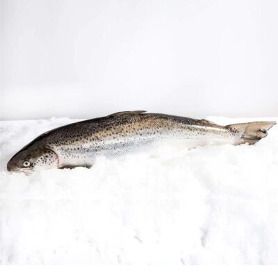 Tasmanian Whole Salmon - Scaled and Gutted, 4kg | (No Sunday Delivery)