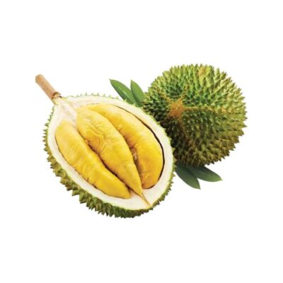 Frozen Musang King Durian (D197) Whole Fruit in Mesh Net, 2.4-2.6kg